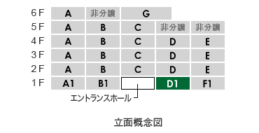 立面D1type