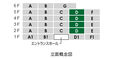 立面Dtype