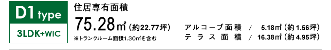 D1type 3LDK+WIC 75.28㎡