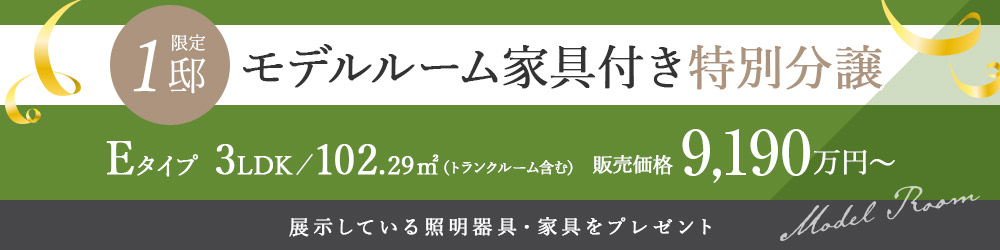 モデルルーム家具付き特別分譲　Eタイプ　3LDK　102.29㎡