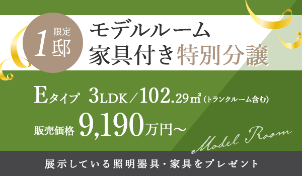 モデルルーム家具付特別分譲